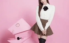 国产精品99久久久久久久女警